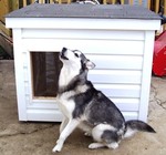Rosie - Alberta, Canada
